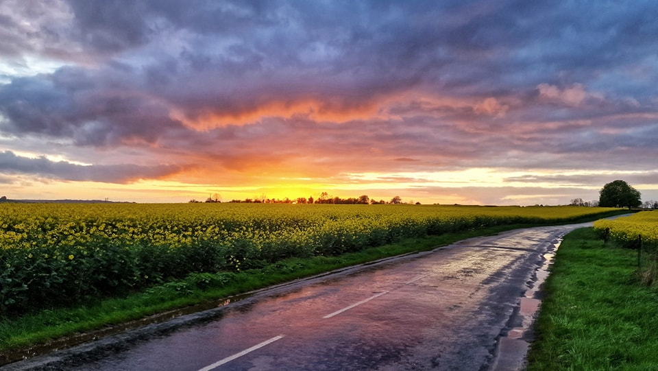 Paysage ardennais